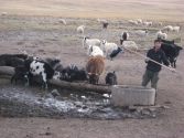 zycie-codzienne-selenge-2009-mongolia-2